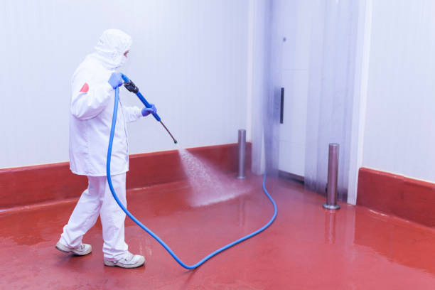 Best Sidewalk and Walkway Cleaning  in Heritage Pines, FL